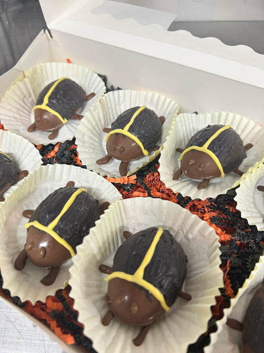 Dozen Coraline Cocoa Bettle
